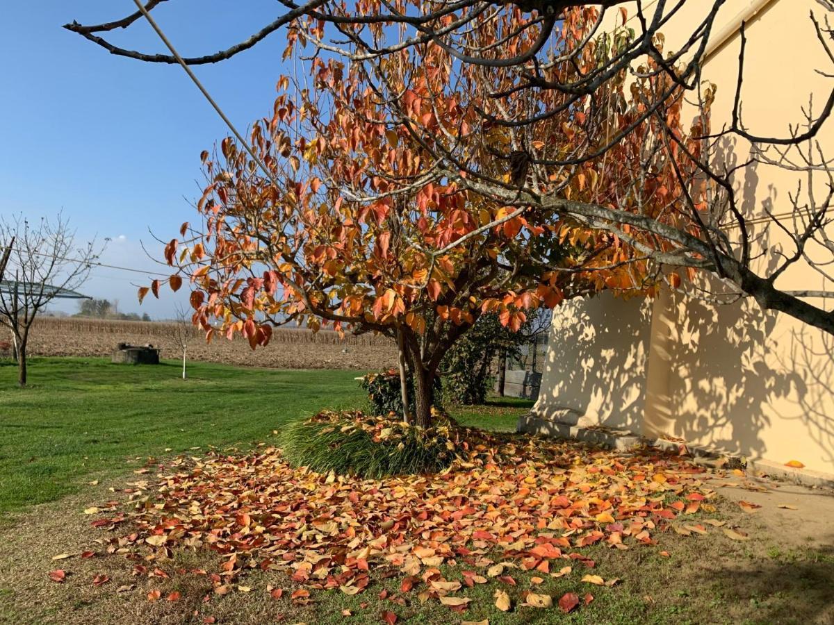 Agriturismo Cascina Mariale Albiano D'Ivrea Ngoại thất bức ảnh
