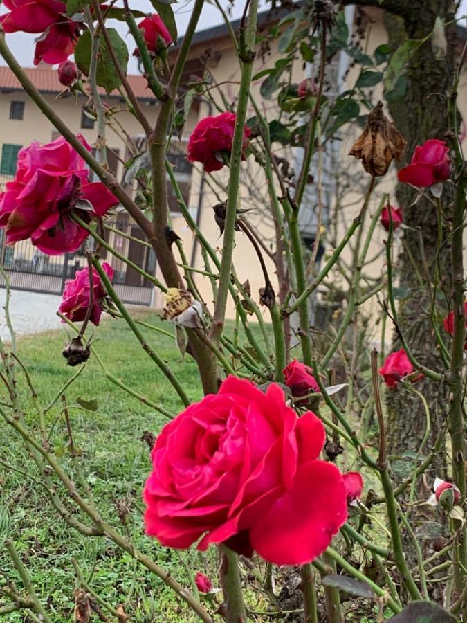 Agriturismo Cascina Mariale Albiano D'Ivrea Ngoại thất bức ảnh